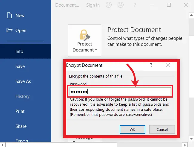 Password Protect Word Document or Excel Workbook with Setting Password