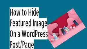 How to Hide Thumbnail On a WordPress Post Page