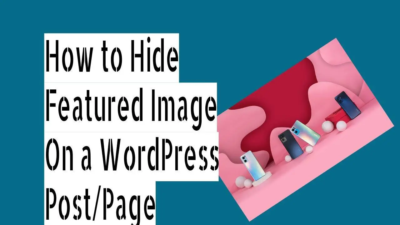 How to Hide Thumbnail On a WordPress Post Page